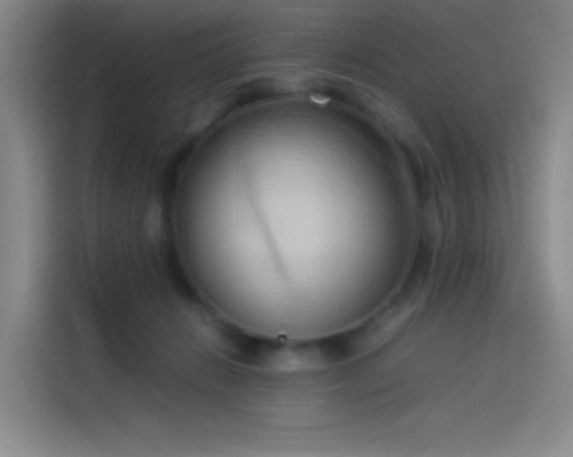 X0000114060270200910131151