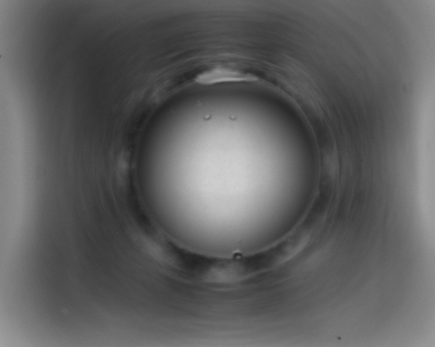 X0000114060271200910131151