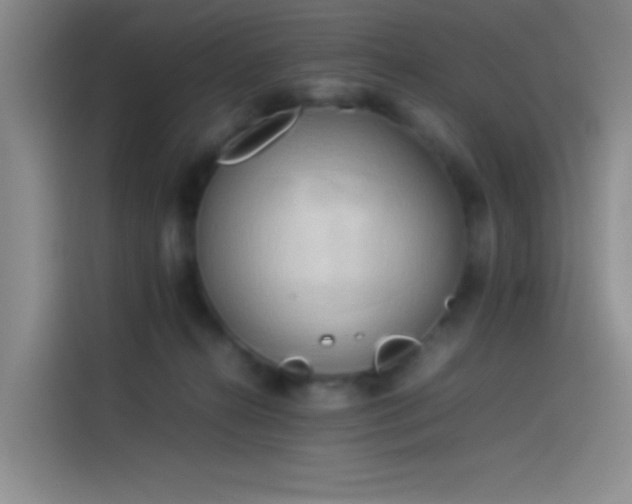 X0000114060272200910131151