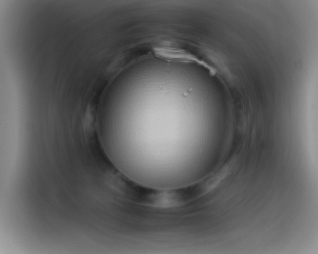 X0000114060273200910131151