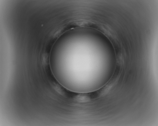 X0000114060280200910131151