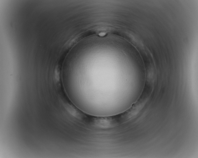 X0000114060282200910131151