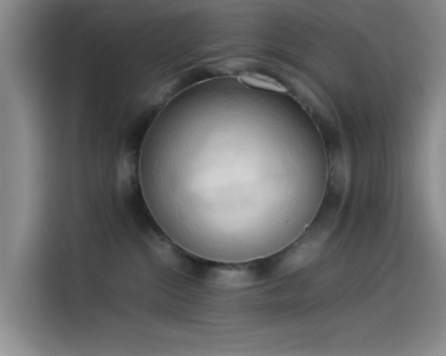 X0000114060284200910131152