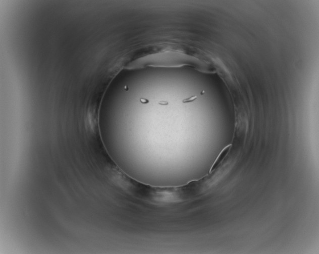 X0000114060285200910131152