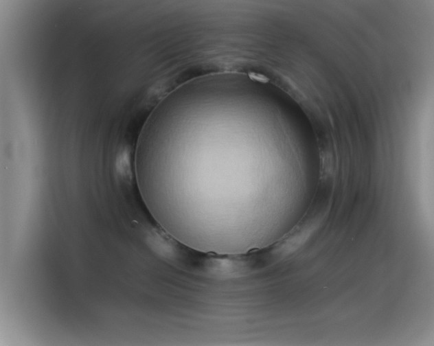 X0000114060286200910131152