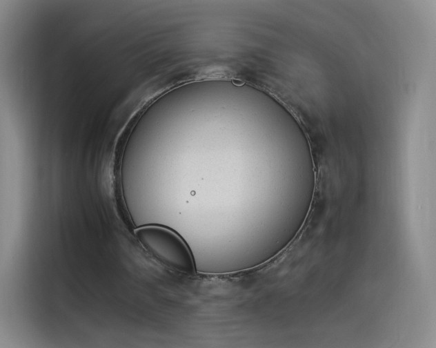 X0000114060290200910131151