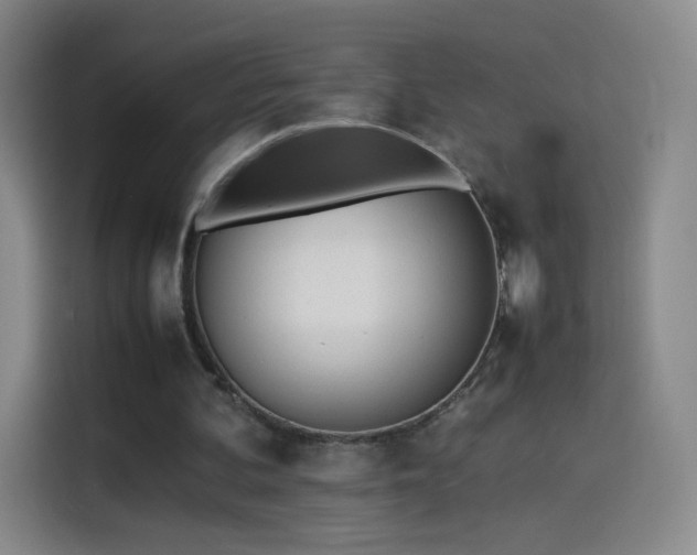 X0000114060292200910131151