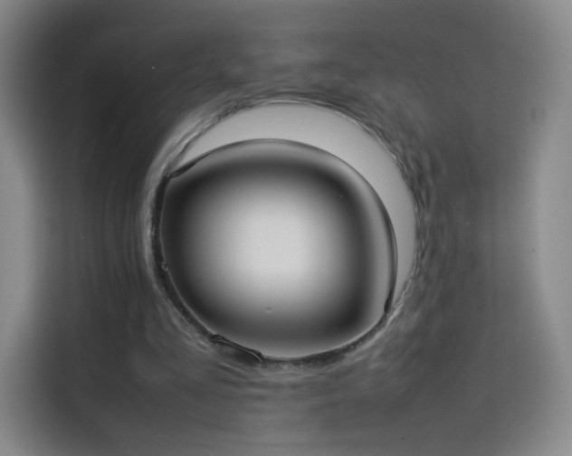 X0000114060293200910131151