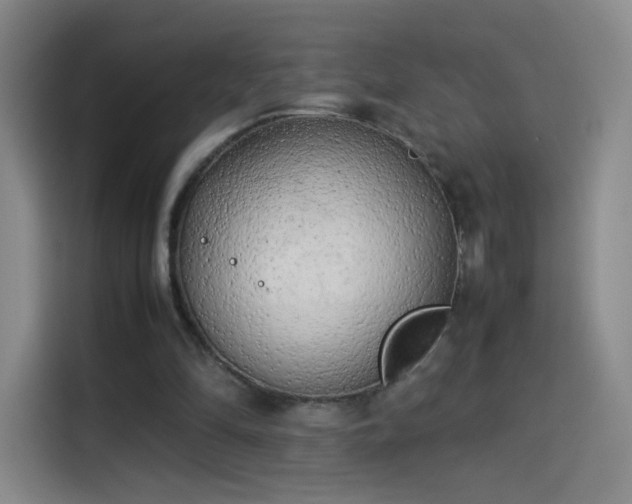 X0000114060294200910131151