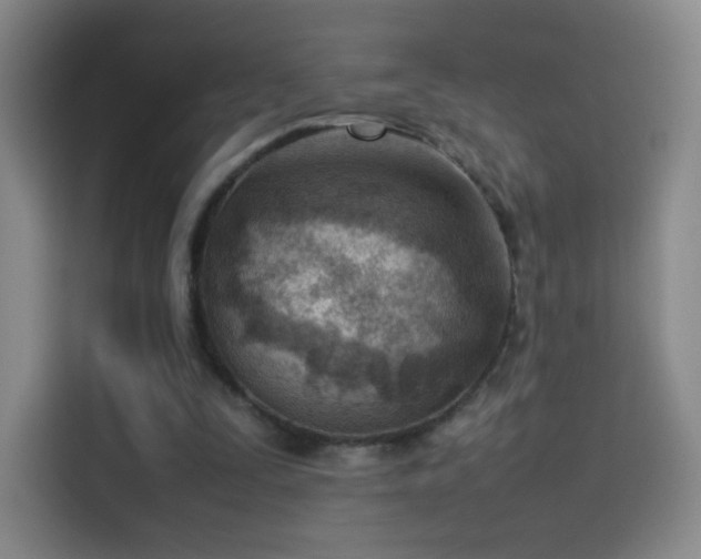 X0000114060295200910131151