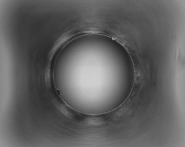 X0000114060296200910131151