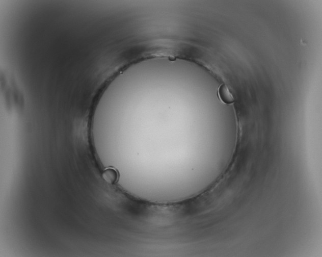 X0000114060297200910131151