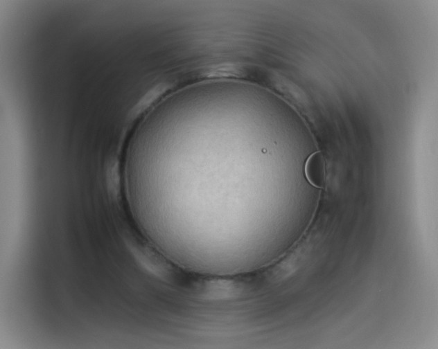 X0000114060298200910131151