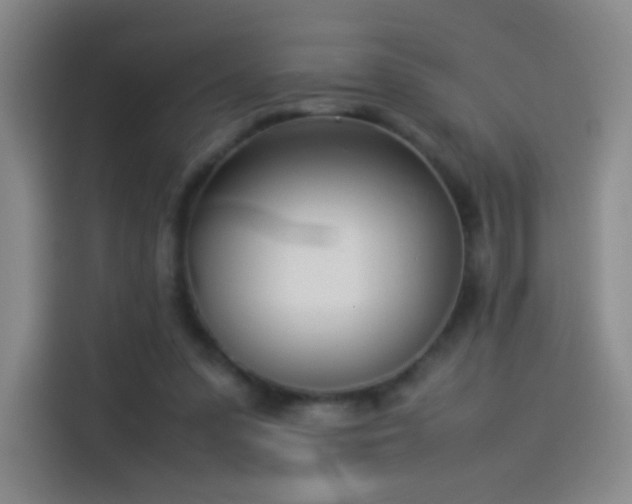 X0000114060303200910131151