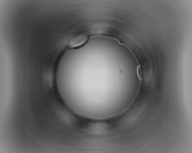 X0000114060304200910131151