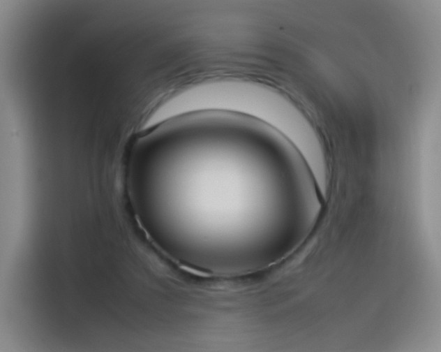 X0000114060305200910131151