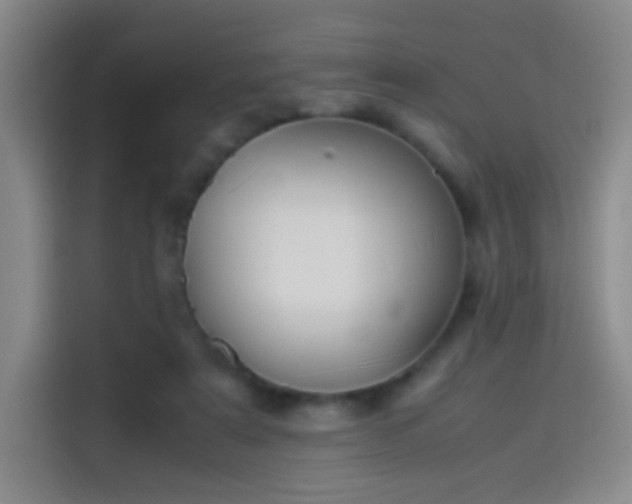 X0000114060307200910131151