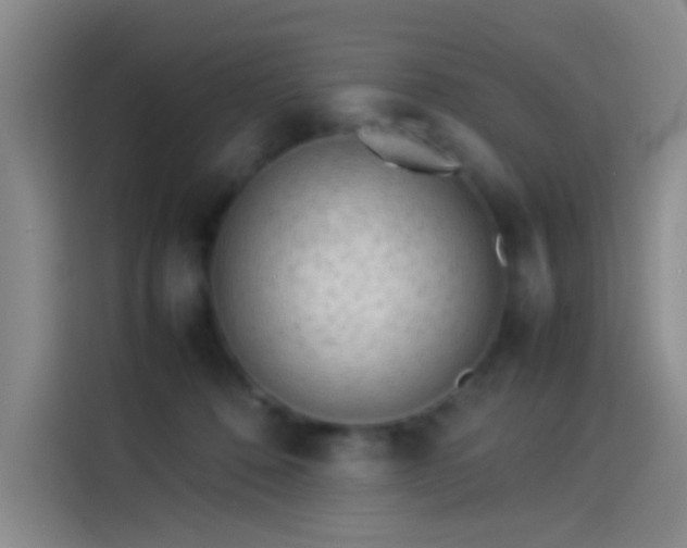 X0000114060320200910131151