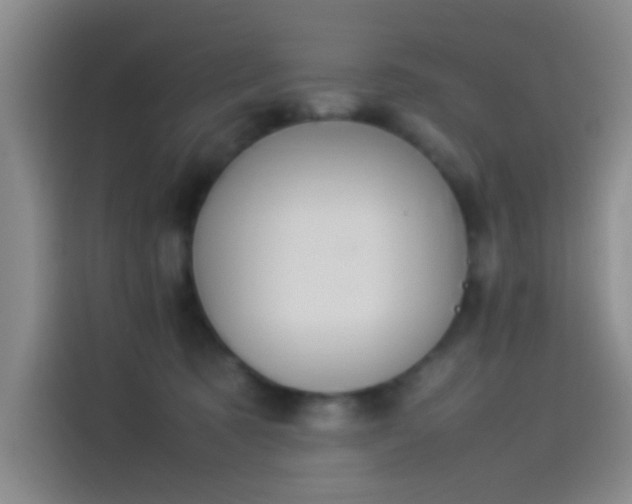 X0000114060321200910131151