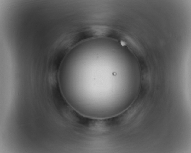 X0000114060325200910131150