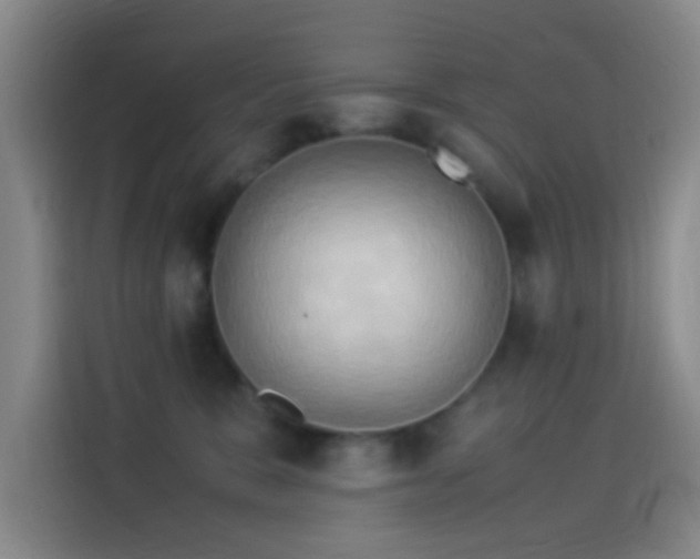 X0000114060327200910131150