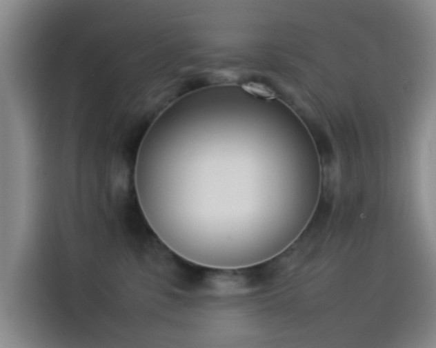 X0000114060331200910131150