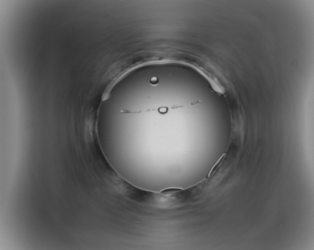 X0000114060333200910131150