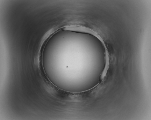 X0000114060340200910131150