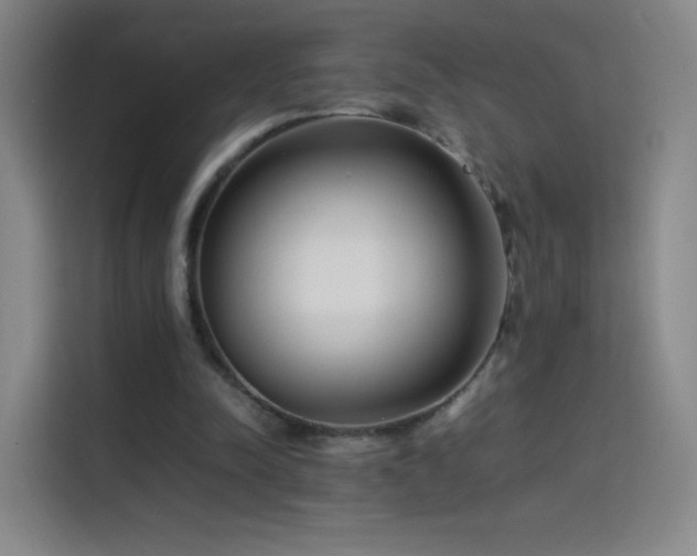 X0000114060342200910131150