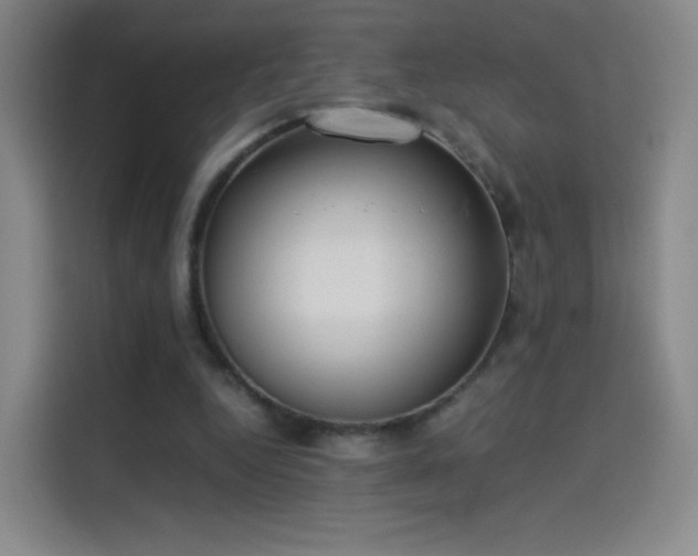 X0000114060344200910131150