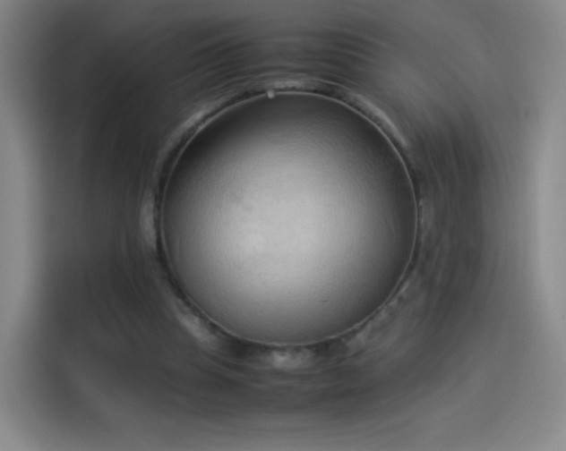 X0000114060345200910131150