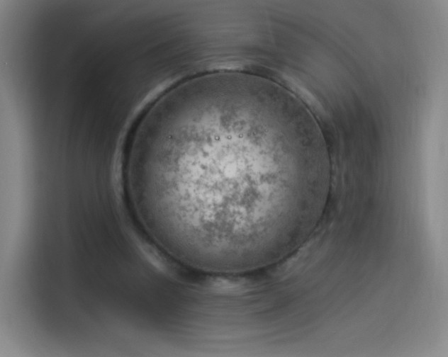 X0000114060346200910131150