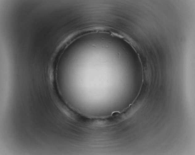 X0000114060350200910131150