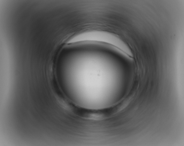 X0000114060360200910131150