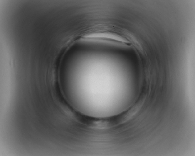 X0000114060362200910131150