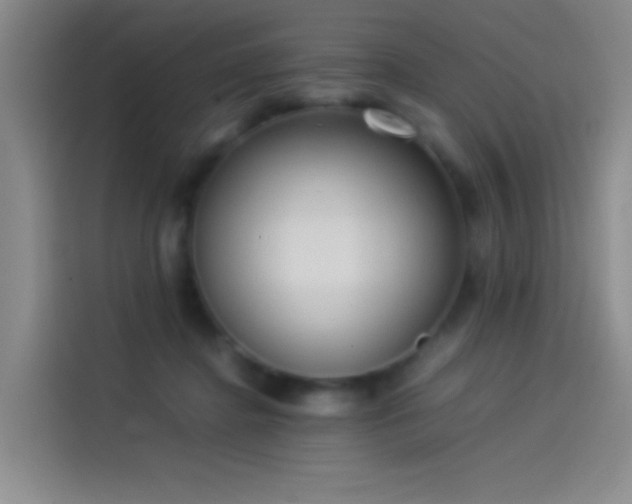 X0000114060364200910131150