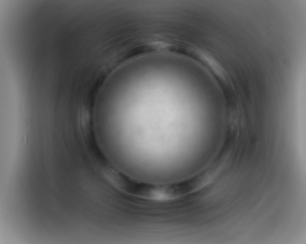 X0000114060365200910131150