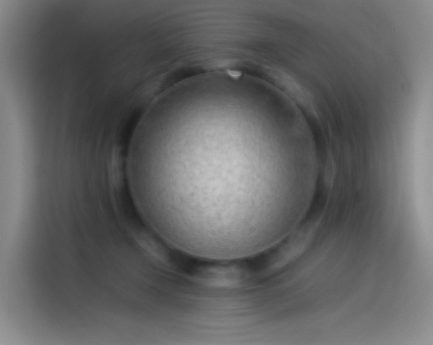 X0000114060366200910131150