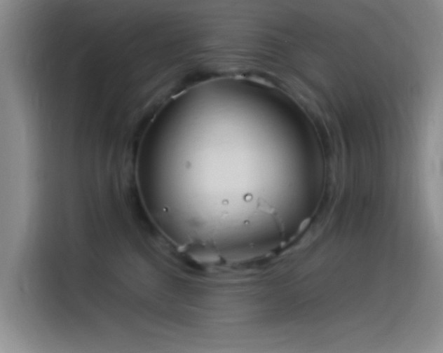 X0000114060376200910131150