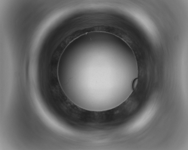 X0000114060383200910131150