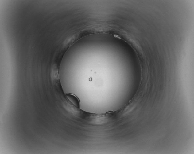 X0000114060384200910131150