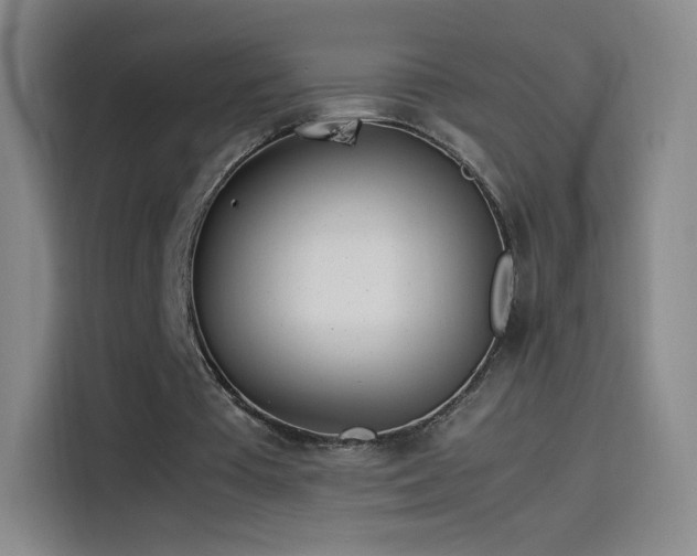 X0000114060385200910131150