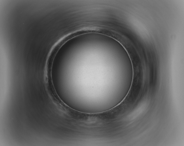 X0000114060388200910131150