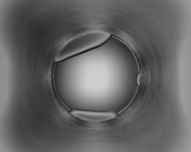 X0000114060389200910131150