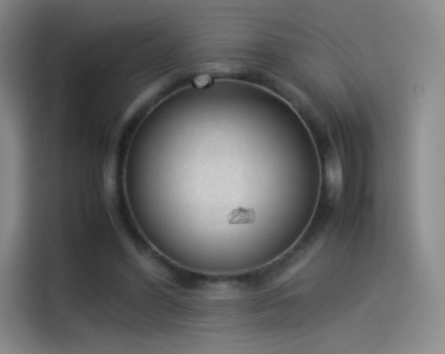 X0000114060396200910131150