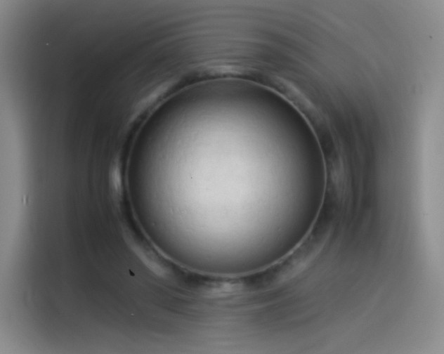 X0000114060398200910131150