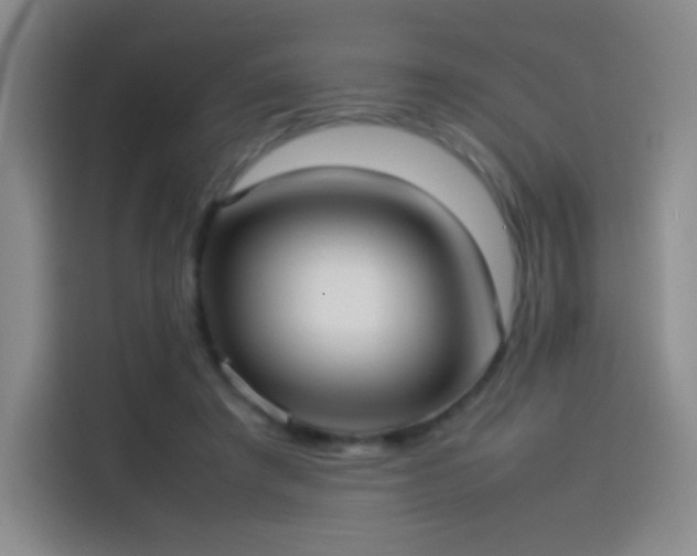 X0000114060401200910131149