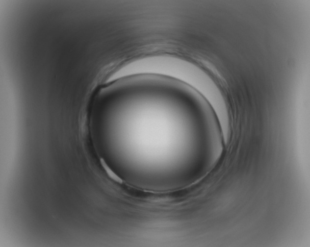 X0000114060403200910131149