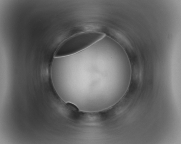 X0000114060405200910131149