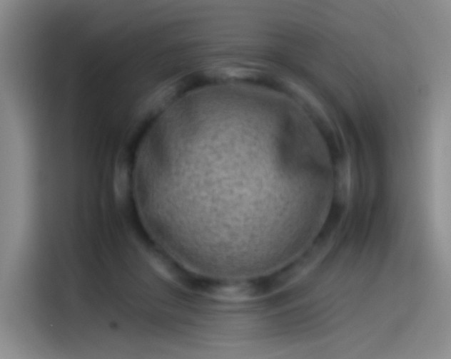 X0000114060410200910131149